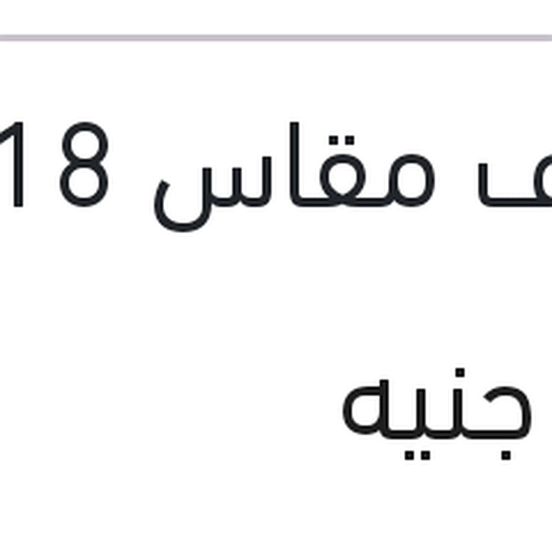 مساحه حديد ECO خطاف مقاس 18