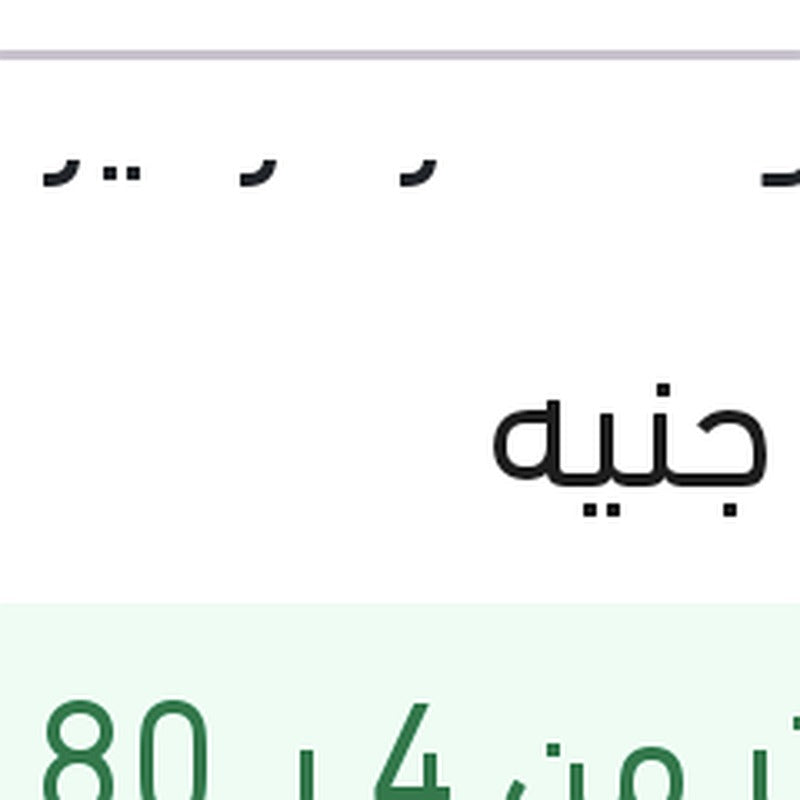 مياه تبريد خضراء رابيدو 5 لتر	 تركيز 5%