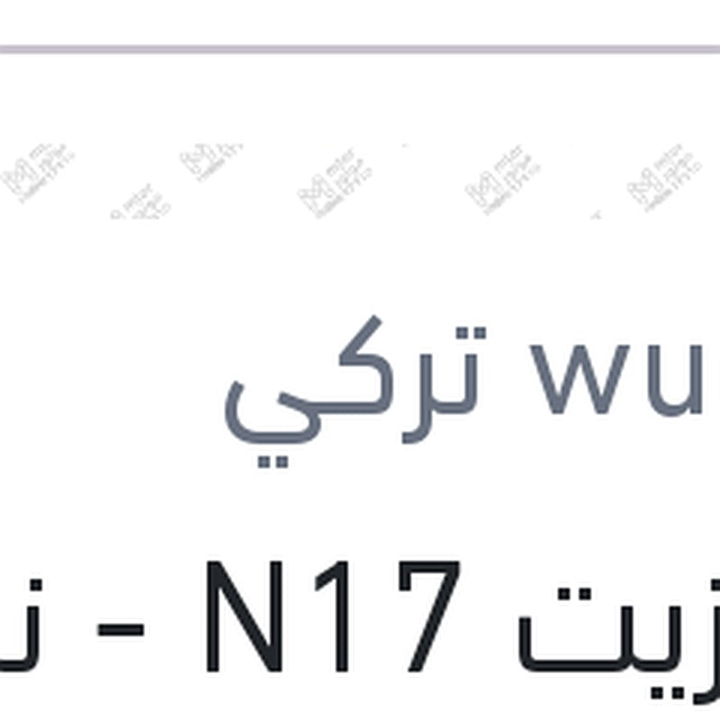 فلتر زيت N17 - نيو فلوانس