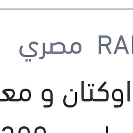 
رافع اوكتان و معالج وقود رابيدو 300 مللي