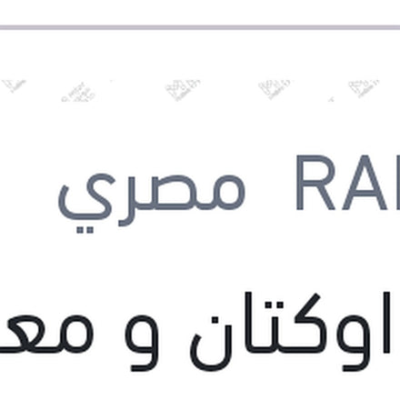 
رافع اوكتان و معالج وقود رابيدو 300 مللي