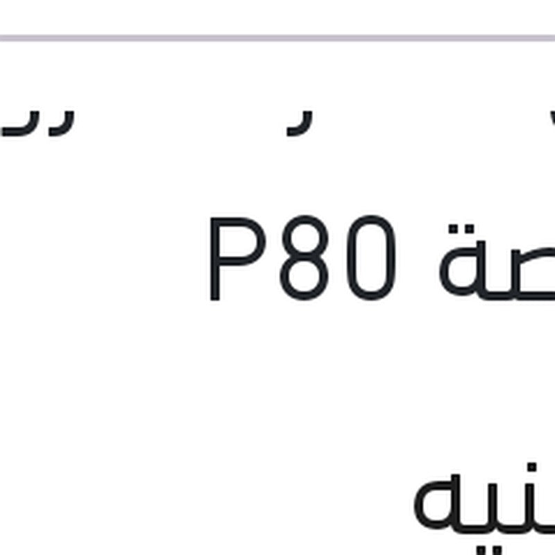 قرص صنفرة "مروحه" 5 بوصة P80