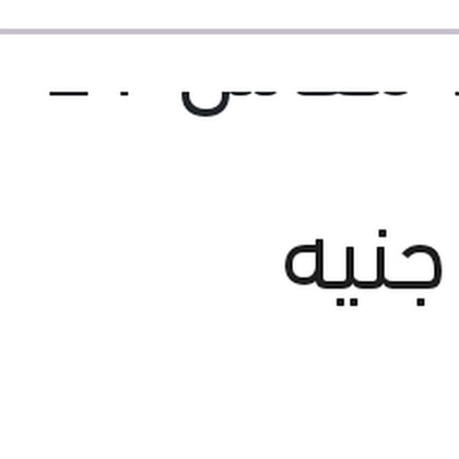 مساحه حديد ECO New مقاس 21