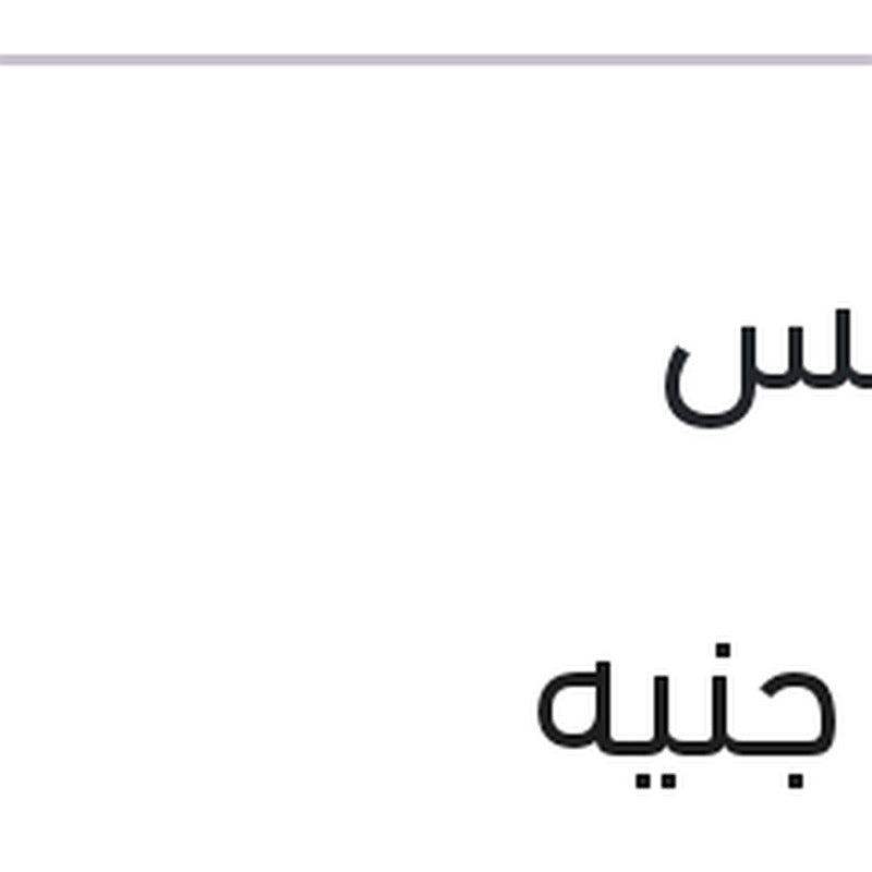 طقم مساحات امامي فلوانس