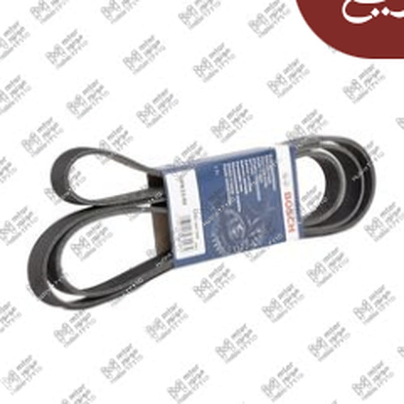 سير مجموعة 6PK2140 الطويل سيراتو - النترا