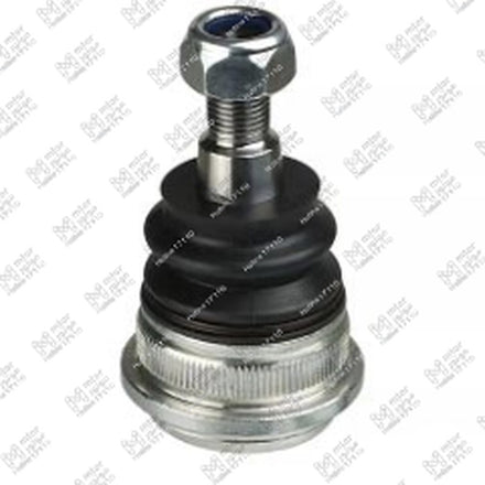 
طقم بيض مقص النترا MD - اكسنت RB - فيرنا (545300U000)