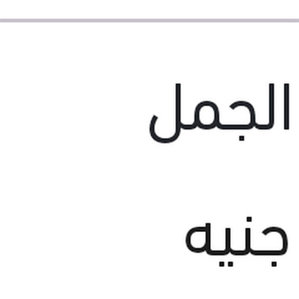تيل فرامل خلفي لقم النترا الجمل