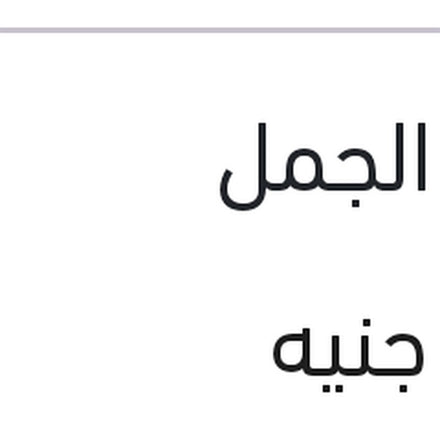 
تيل فرامل خلفي لقم النترا الجمل
