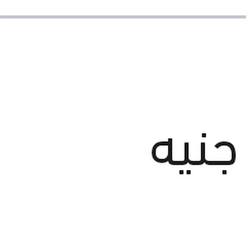 فلتر هواء النترا XD