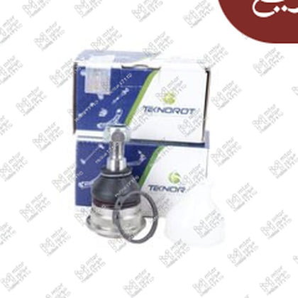 طقم بيض مقص النترا MD - اكسنت RB - فيرنا (545300U000)