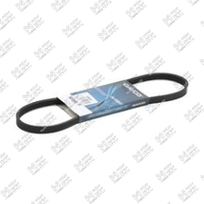 سير تكييف 4PK812 فيرنا 1600 - نيو اكسنت - ماتريكس - جيتز
