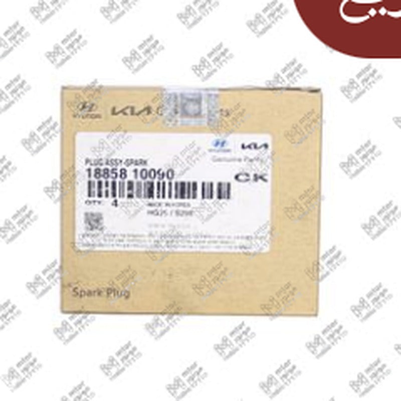 طقم بوجيهات 16 سن طويل النترا (10090)