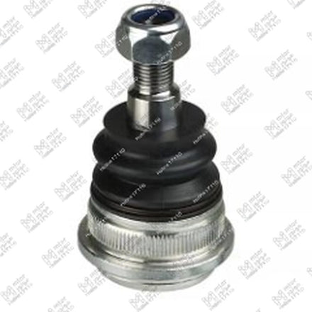 
طقم بيض مقص النترا MD - اكسنت RB - فيرنا (545300U000)