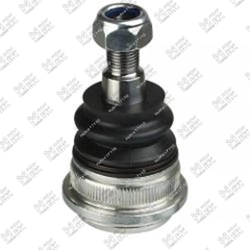 طقم بيض مقص النترا MD - اكسنت RB - فيرنا (545300U000)