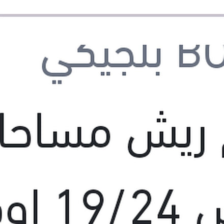 
طقم ريش مساحات مقاس 19/24 اوكتافيا A5
