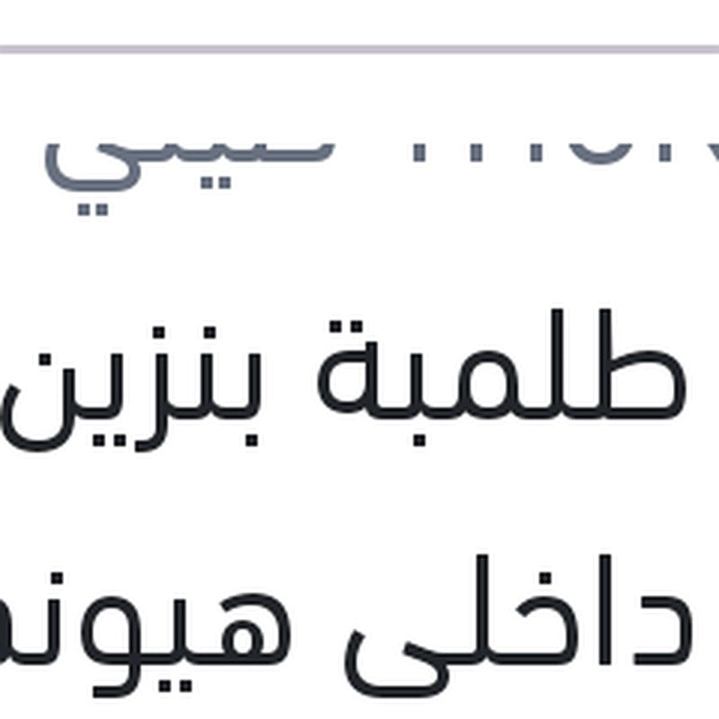 قلب طلمبة بنزين ناعم داخلى هيونداي (ضمان 3 شهور)