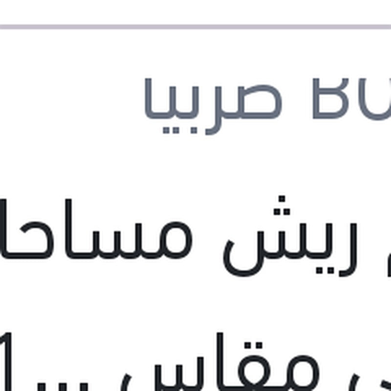 
طقم ريش مساحات امامي مقاس 24/19 باسات - جيتا - جولف 5