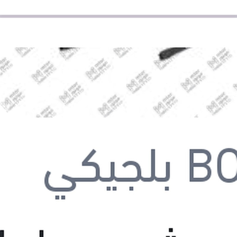 طقم ريش مساحات امامي مقاس 24/18 Aerotwin رينو داستر
