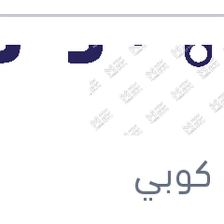 
طقم ريش مساحات امامي MG5 كوبي
